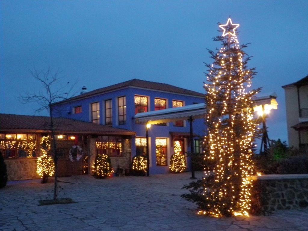 Hotel Prasino Horio Arnaia Zewnętrze zdjęcie